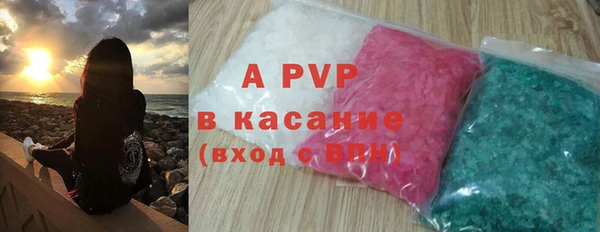 дмт Каменка
