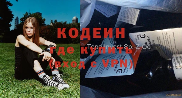 дмт Каменка
