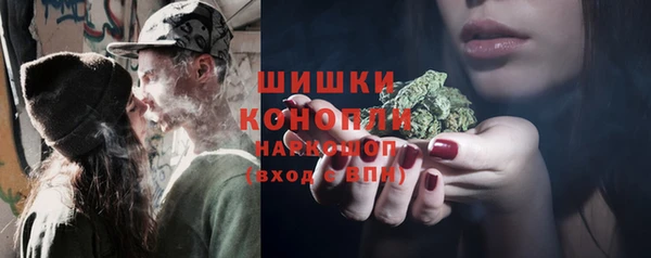 дмт Каменка