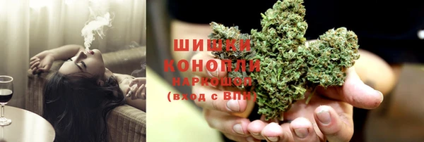 дмт Каменка