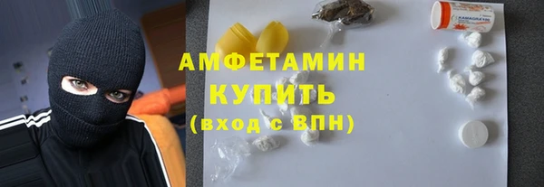 дмт Каменка