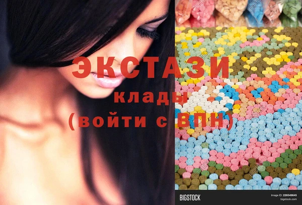 дмт Каменка