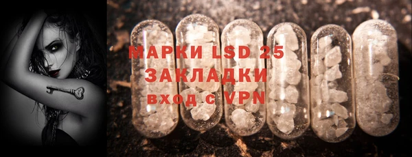 дмт Каменка