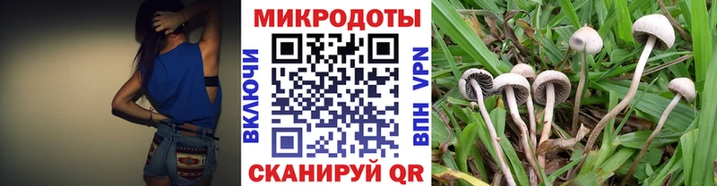 Купить закладки  Грязи  Галлюциногенные грибы GOLDEN TEACHER 